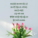 가장 좋은 선물----탈무드 고급유머 중에서 이미지