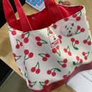 펫마켓 서구점 | [광주] 산책하는 강아지 유치원 쌍촌동 강아지 보스애견호텔&amp;유치원 후기