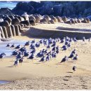 동해바다 펜션 이미지