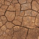 새움한의원 이미지