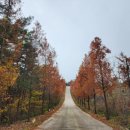 내동 진입로 이미지