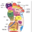 발이야기 이미지