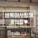 바둑아 사랑해 이미지