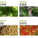 방곡도깨비 마을 이미지