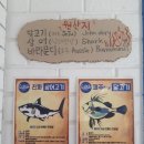윌라라