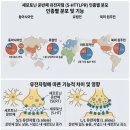 세로토닌과 한국인의 특성 그리고 주식 이미지