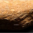 백제왕궁박물관 이미지