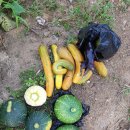 광택농장 이미지