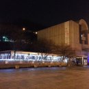 파리나무십자가 소년합창단 이미지