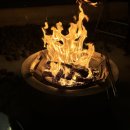 베지아웃 이미지