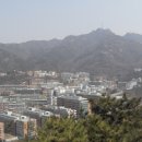 돌산배드민턴장(숲길) Daum카페