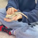 곤충박물관 1층 | 여주 | 여주곤충박물관 7관, 8관 파충류체험관, 만들기체험, 분양관 후기