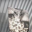 광천정기시장 이미지