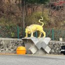 고려쉼터 | 10월 인왕산 등산 후기/ 인왕산 등산 코스 &amp; 인왕산 숲속 쉼터