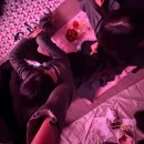 한음페스티벌 | 하반기 공연 후기 제출합니다