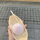 유키모찌전주한옥