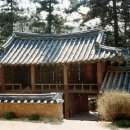 신산 Daum카페