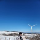 선구목장 이미지