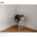 @CLICK | [KB ITYL] 웹 프론트엔드 교육 후기 (Vue.js)