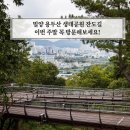 밀양우리병원 | 밀양 용두산 생태공원 잔도길 달팽이전망대 주말 꼭 가보세요