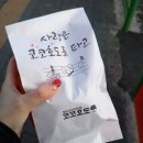 코코호도합정점