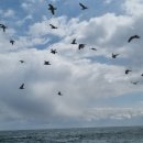 경주펜션 맛집 추천 해피데이 | 경주펜션맛집추천 해피데이 맛집부터 숙소까지 한방에 해결