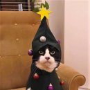 하트 이미지