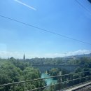 환덕 | 신혼여행 후기 - 🇨🇭