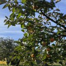 신도정보화마을 이미지