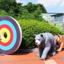 진호국제양궁장 축구장 이미지