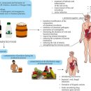 Re: 항생제 내성 퇴치를 위한 유망한 전략으로서 발효한약, 장내유익균 탐구들!! 이미지