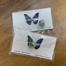 서당에너지 이미지