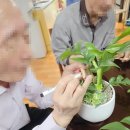 은초록경로당 이미지