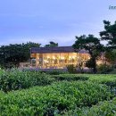 초록빛하루 이미지