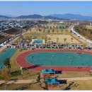 낙동강체육공원 야구장 이미지