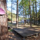 금강송체험야영장 이미지