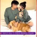 이타 뉴스엔