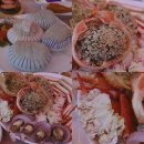 감동대게2호점 | 대포항맛집/속초대게 맛집에서 푸짐하게 즐기는 감동대게 2호점 솔직후기