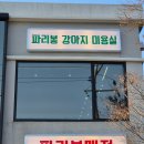 파리봉강아지미용실 이미지