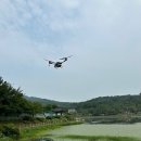 첨단방역