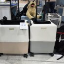 군들 | 쿠키군과 방문한 크리스마스 서울펫쇼 후기