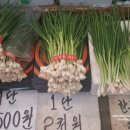 용현시장(하) 이미지