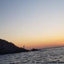 씨프로팜 이미지