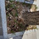 첨단내촌로 이미지