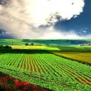 평원농장 이미지