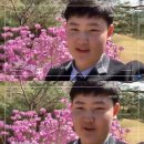 대전글꽃중학교 이미지