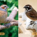 새들의 정원 이미지