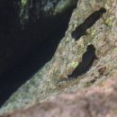 제주더썸플러스 풀빌라수산 이미지