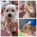 봉곡동042 이미지