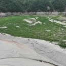 남대천공중화장실 이미지